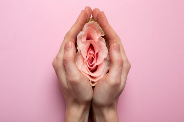 Menopausia